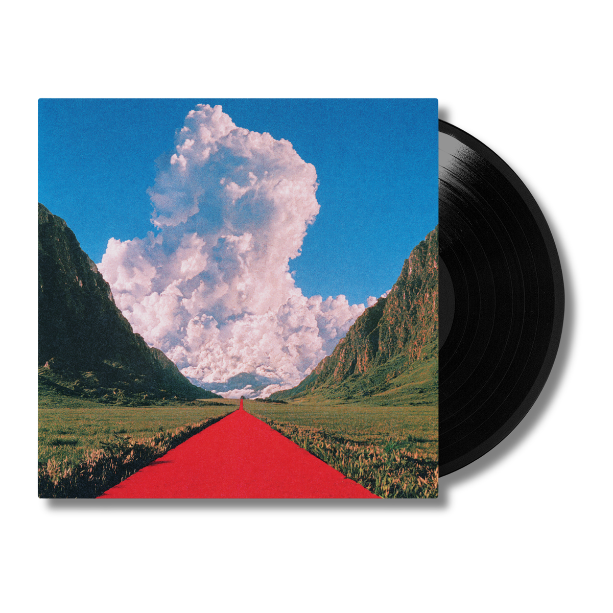 PREORDER: Maybe In Time Vinyl