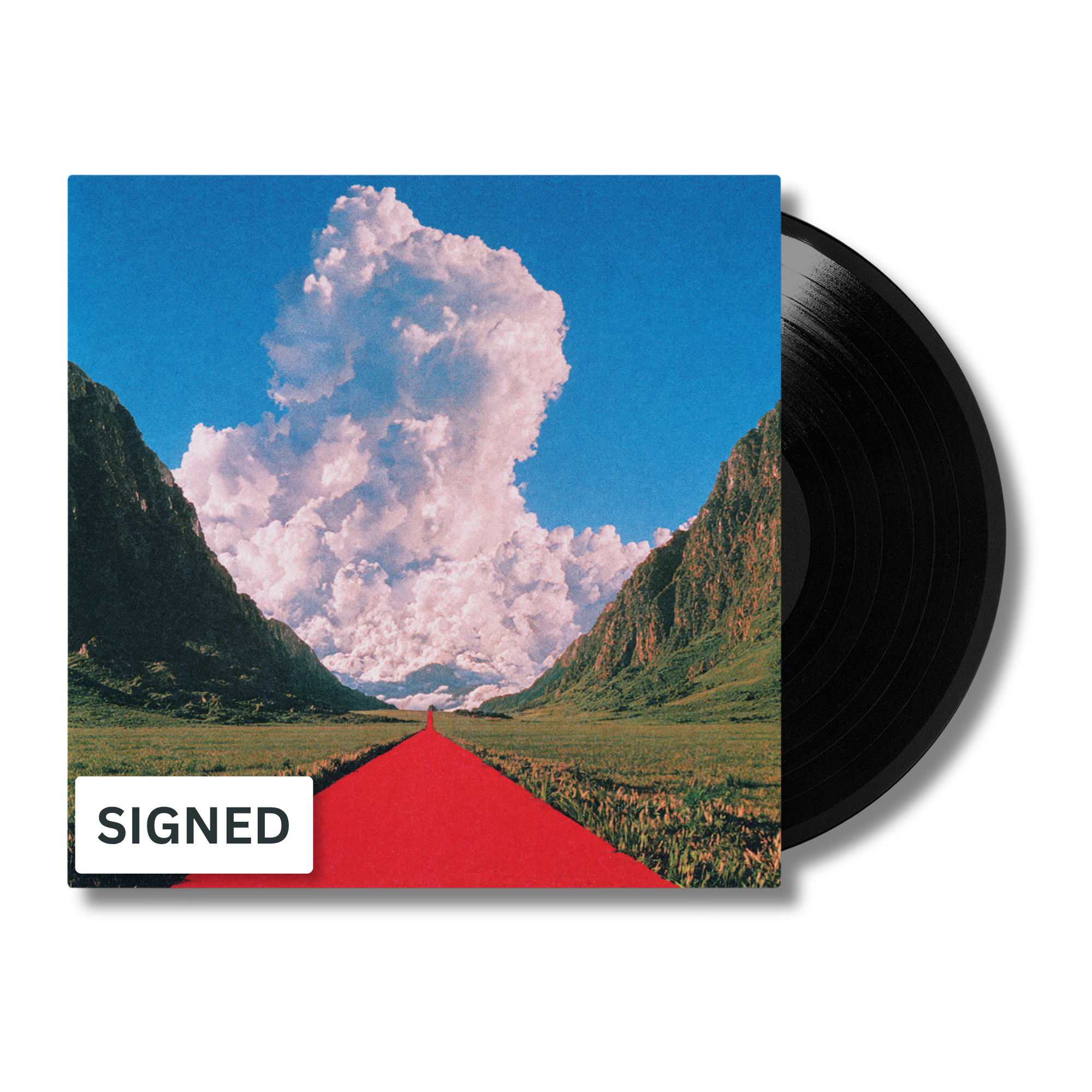 PREORDER: SIGNED Maybe In Time Vinyl
